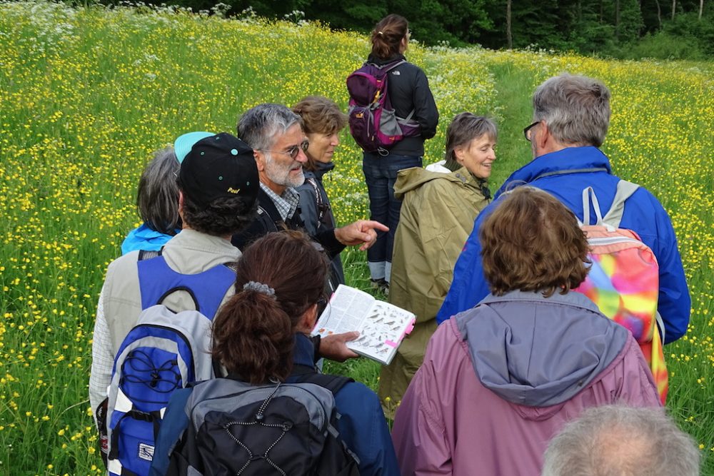 2015.05. NVO Vogelwanderung 5.  Stefan Ziegler