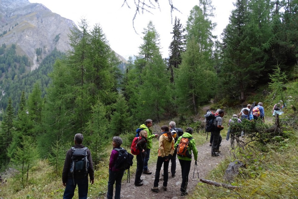 2015.09. NVO im Nationalpark (Val Trupchun) 10.  (Stefan Ziegler)